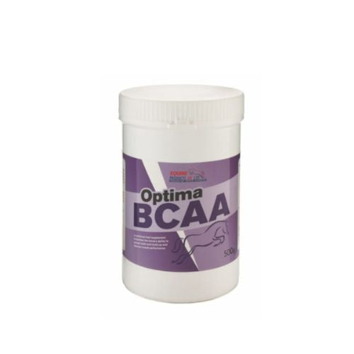 BCAA Powder 500 G