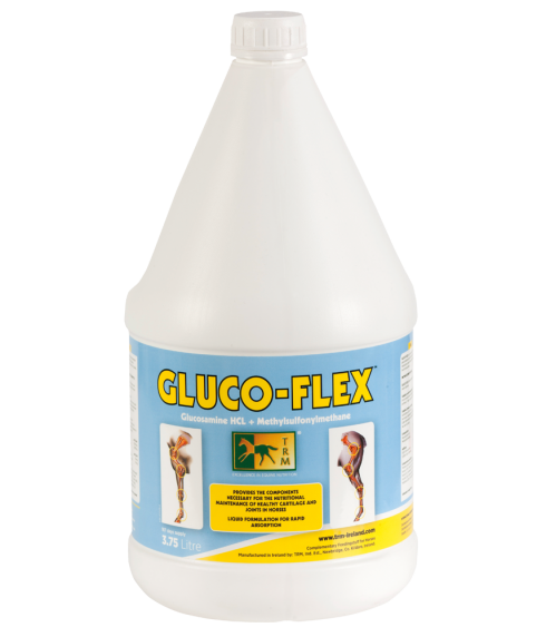 GLUCO-FLEX 1.2 LT